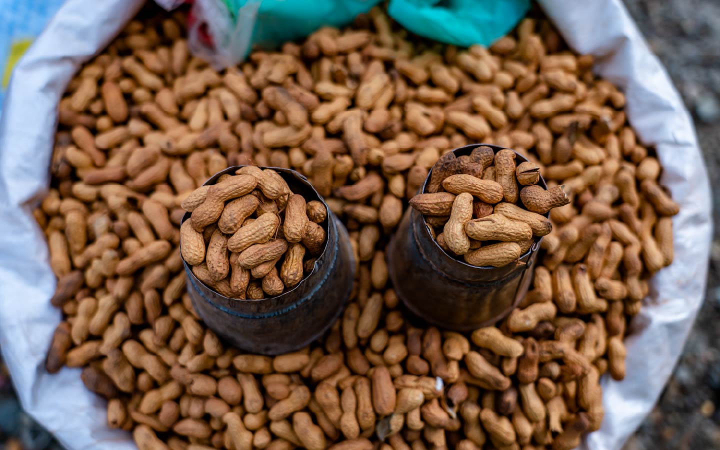 closeup-view-of-peanut-food-2024-11-19-16-56-39-utc